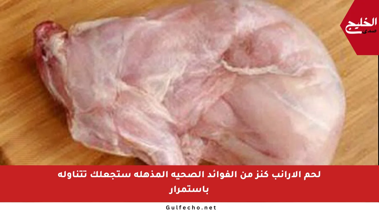 لحم الأرانب كنز من الفوائد الصحية المذهلة ستجعلك تتناوله باستمرار